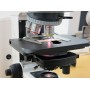 Микроскоп Axio Scope.A1 Хэл 100 для проходящего света светлого поля и фазового контраста Ph2 ERGO с фото тубусом