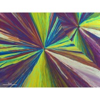 Микроскоп Primo Tech пакет G - D/A с поворотным столом и поляризации и встроенной камерой