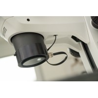 P+L Stemi-Spot K LED освещения Перпендикулярно