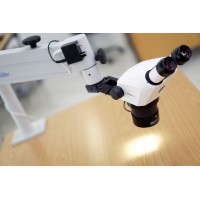 Стерео микроскоп Stemi 305 с настольным штативом и Stemi-Spot освещения Перпендикулярно