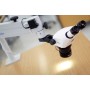 Стерео микроскоп Stemi 305 с настольным штативом и Stemi-Spot освещения Перпендикулярно