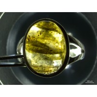 Стерео микроскоп Stemi 305 с настольным штативом и Stemi-Spot освещения Перпендикулярно