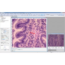 Микроскопия Zeiss Axiovision software - бесплатно