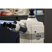 Axio Zoom Фото Тубус Z 100:0